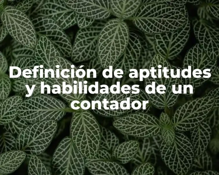 Definición de aptitudes y habilidades de un contador