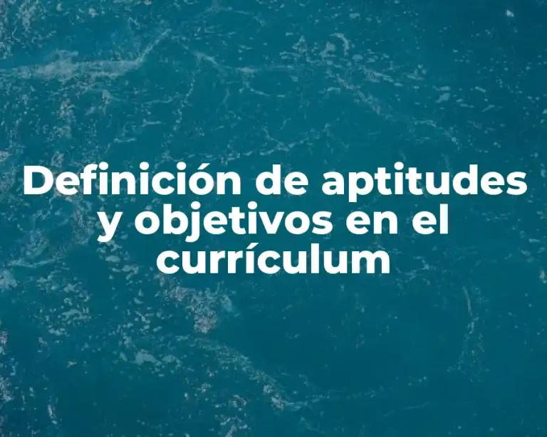 Definición de aptitudes y objetivos en el currículum