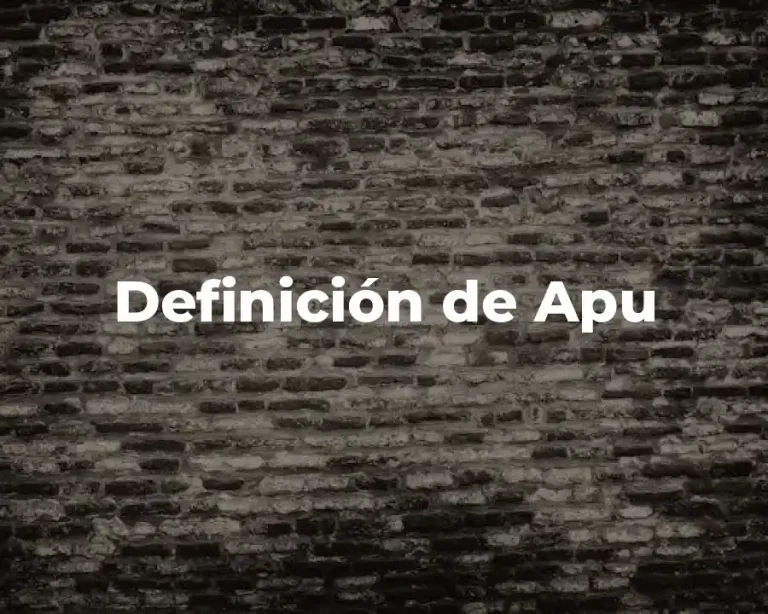 Definición de Apu