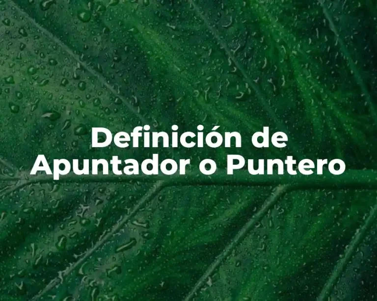 Definición de Apuntador o Puntero