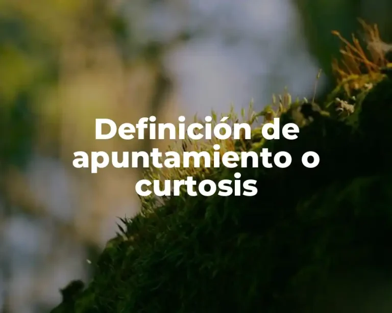 Definición de apuntamiento o curtosis