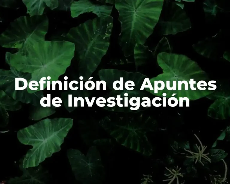 Definición de Apuntes de Investigación