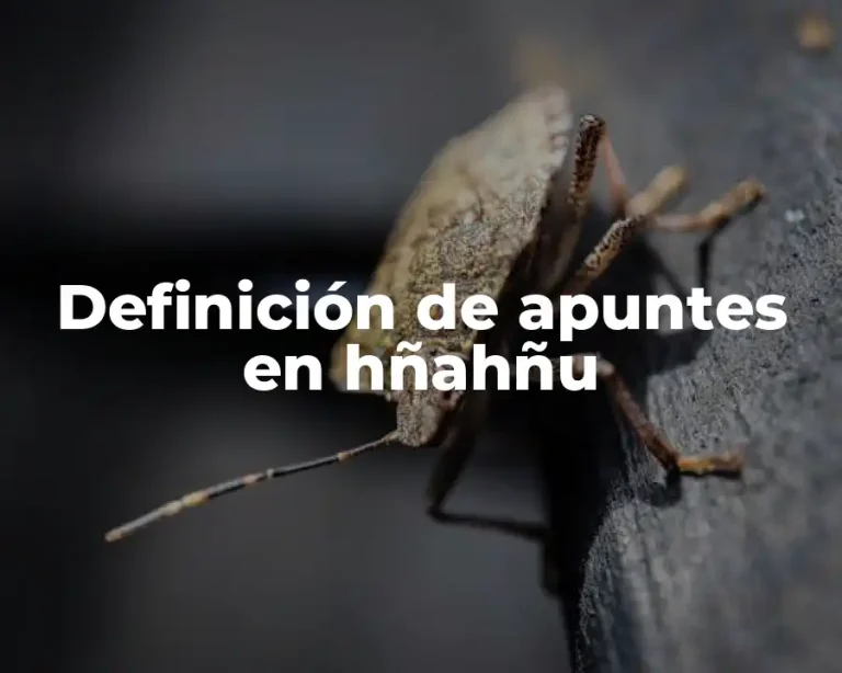Definición de apuntes en hñahñu
