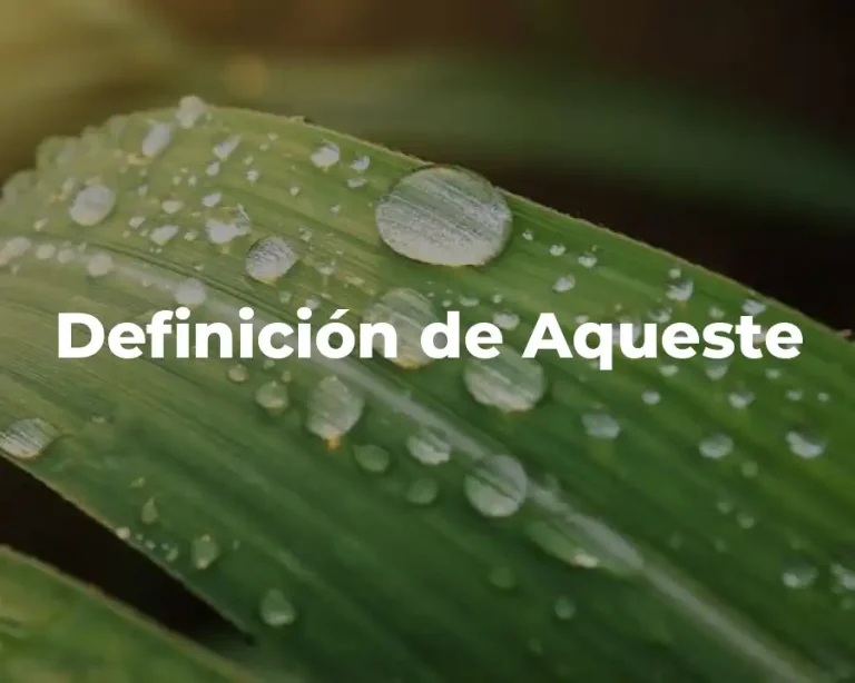 Definición de Aqueste