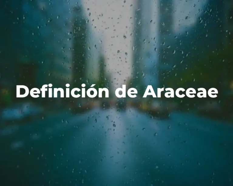 Definición de Araceae