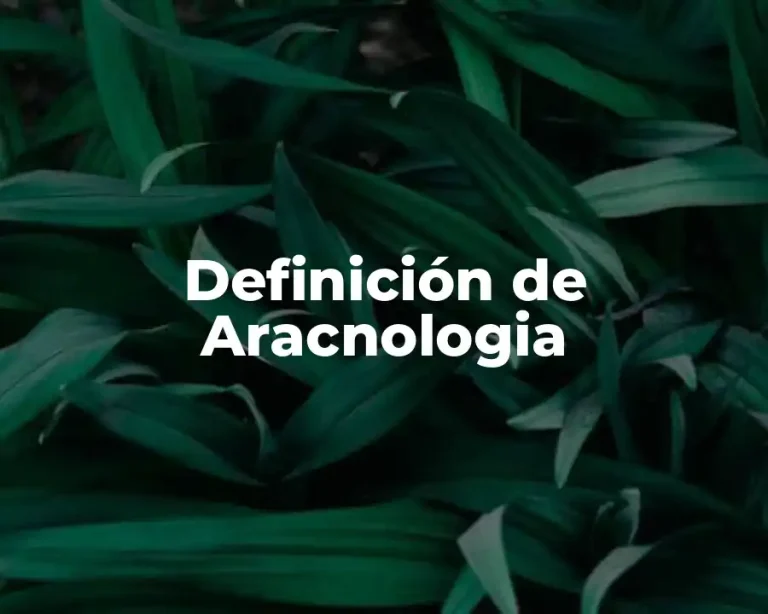 Definición de Aracnologia
