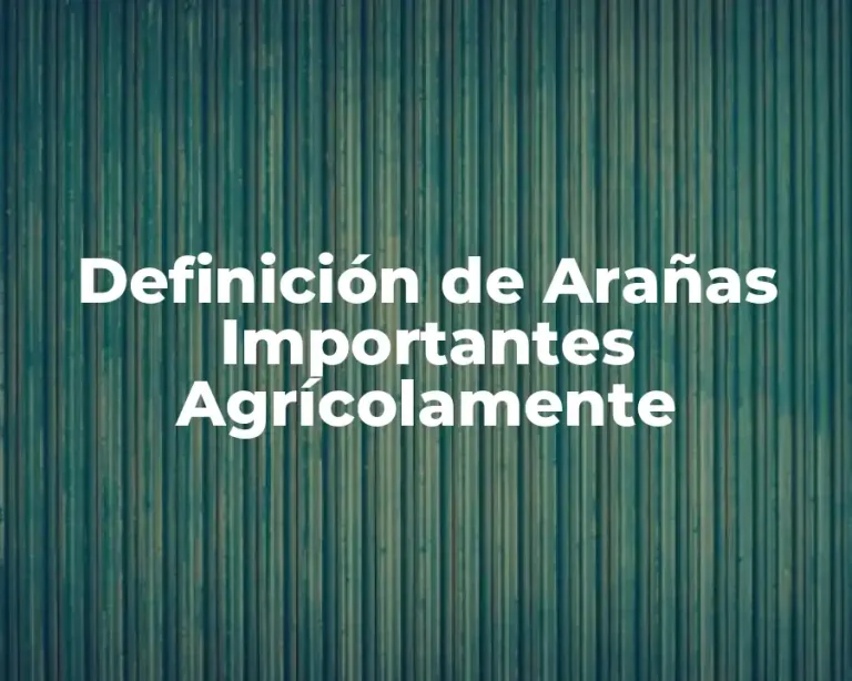 Definición de Arañas Importantes Agrícolamente