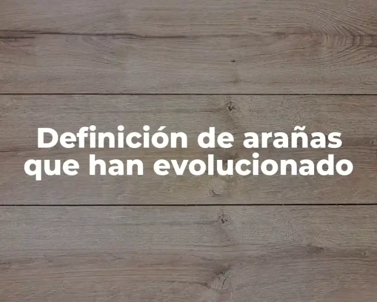 Definición de arañas que han evolucionado