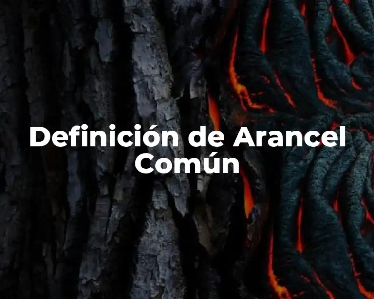 Definición de Arancel Común