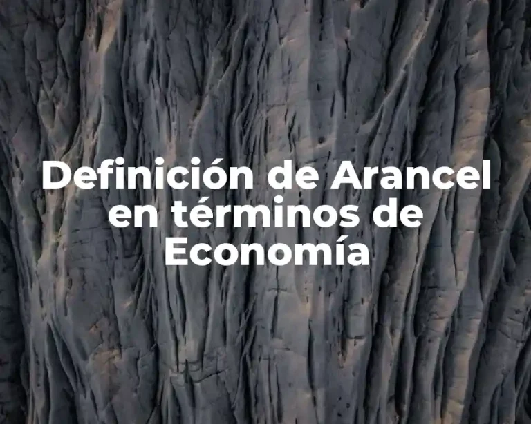 Definición de Arancel en términos de Economía