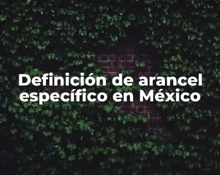 Definición de arancel específico en México
