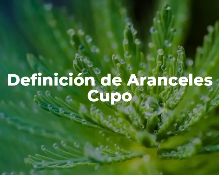 Definición de Aranceles Cupo