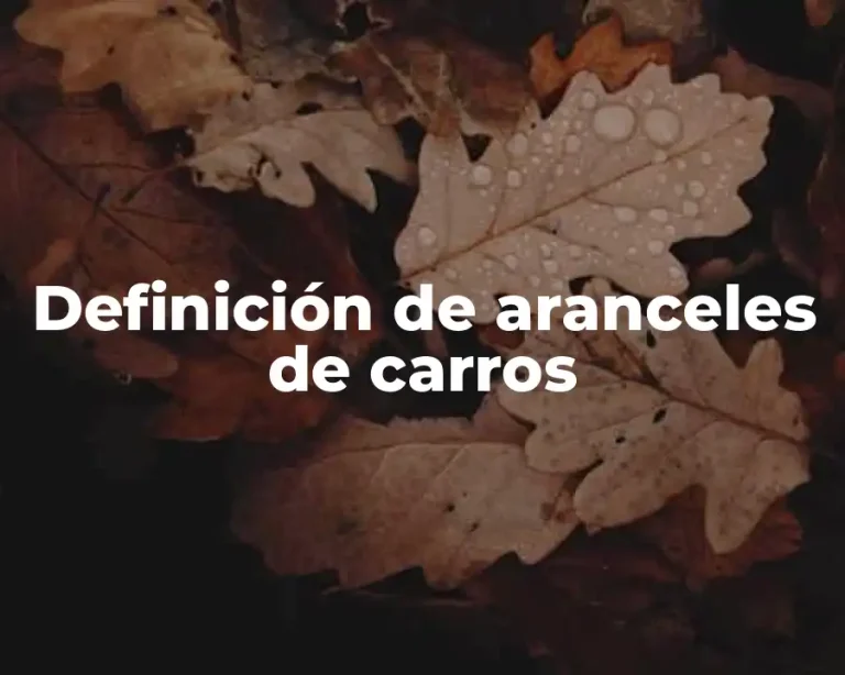 Definición de aranceles de carros