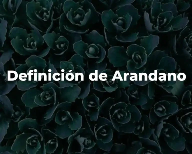 Definición de Arandano