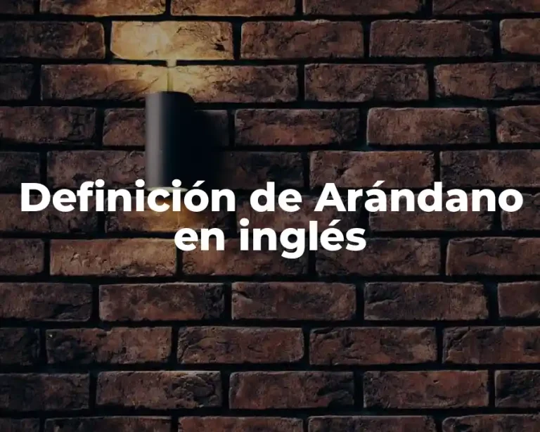 Definición de Arándano en inglés