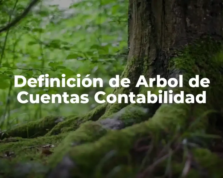 Definición de Arbol de Cuentas Contabilidad