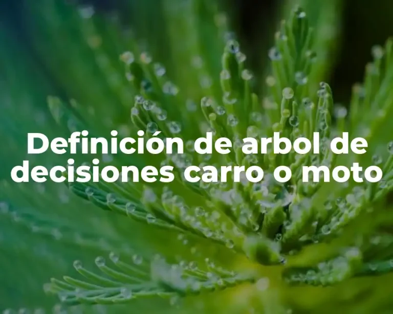 Definición de arbol de decisiones carro o moto