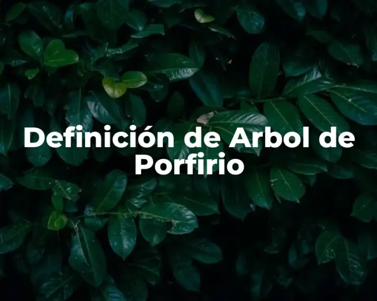 Definición de Arbol de Porfirio