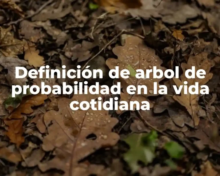 Definición de arbol de probabilidad en la vida cotidiana