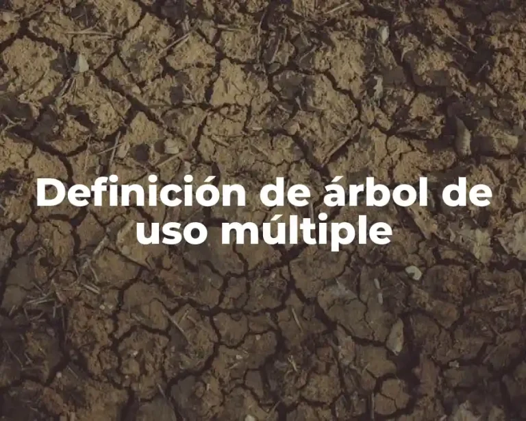 Definición de árbol de uso múltiple