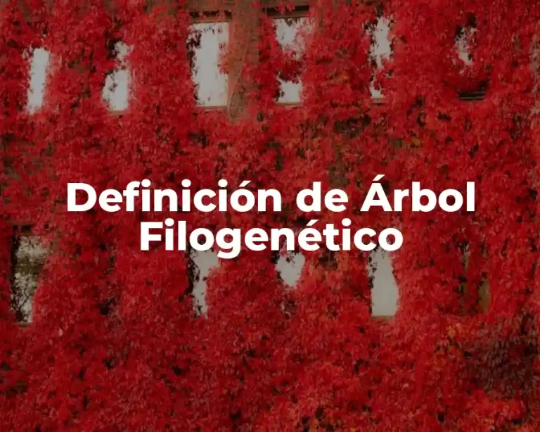 Definición de Árbol Filogenético