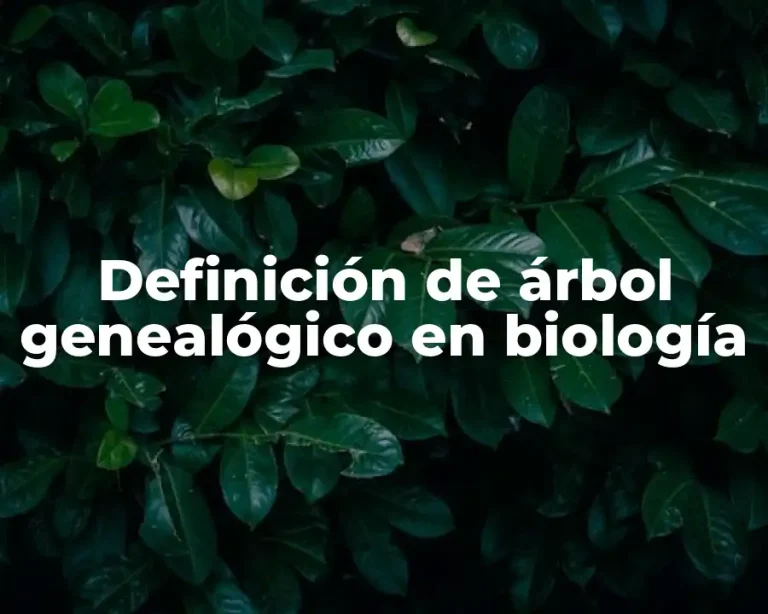 Definición de árbol genealógico en biología