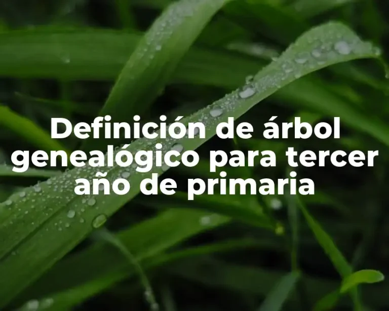 Definición de árbol genealógico para tercer año de primaria