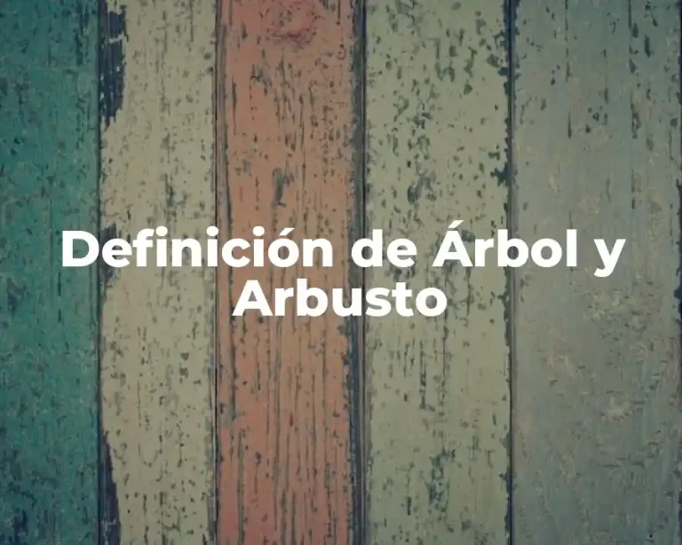 Definición de Árbol y Arbusto