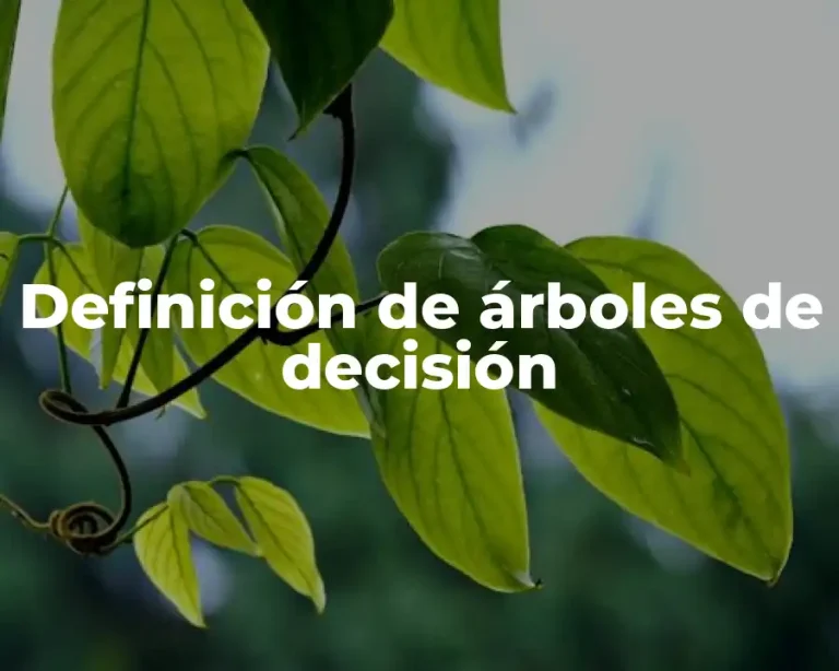 Definición de árboles de decisión
