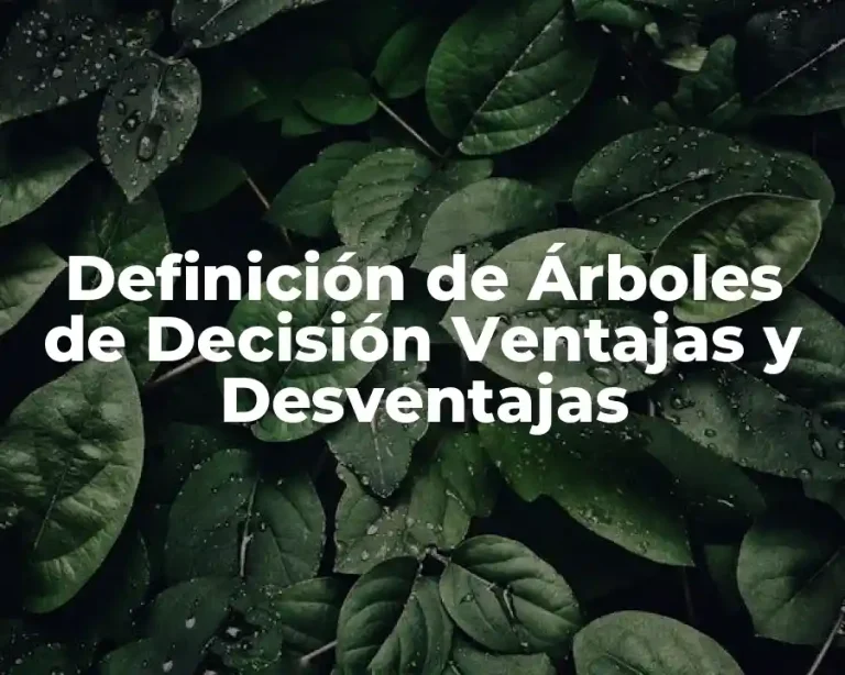 Definición de Árboles de Decisión Ventajas y Desventajas