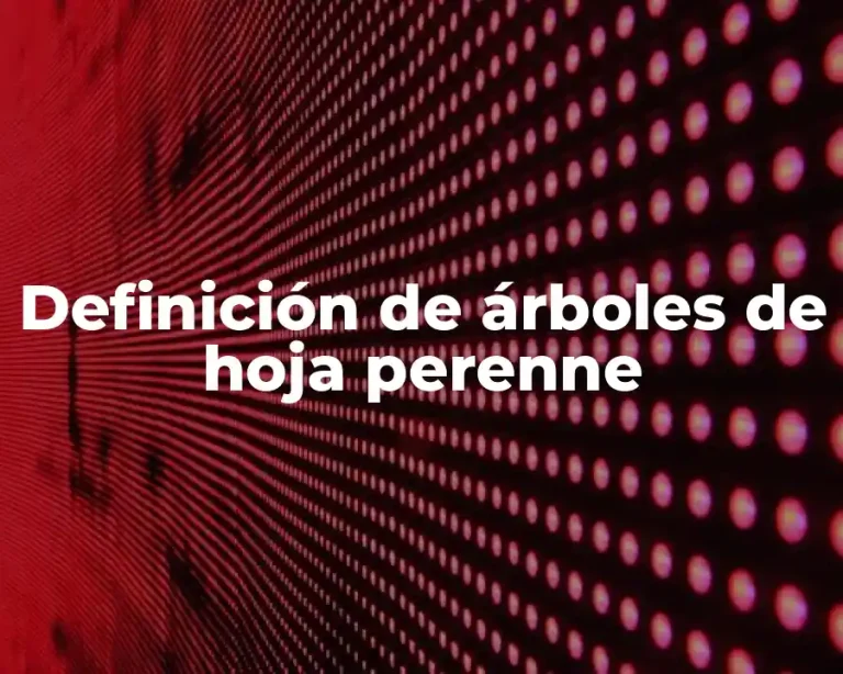 Definición de árboles de hoja perenne
