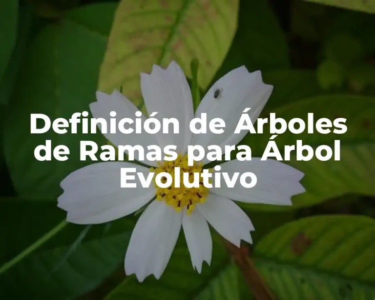 Definición de Árboles de Ramas para Árbol Evolutivo