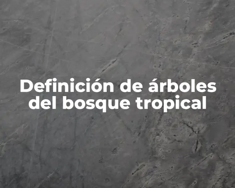 Definición de árboles del bosque tropical