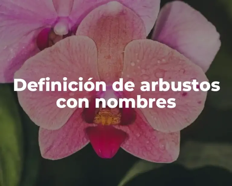 Definición de arbustos con nombres