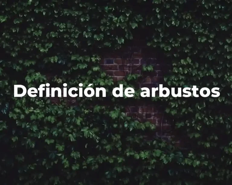 Definición de arbustos