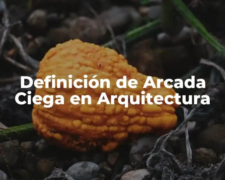 Definición de Arcada Ciega en Arquitectura