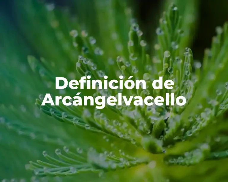 Definición de Arcángelvacello