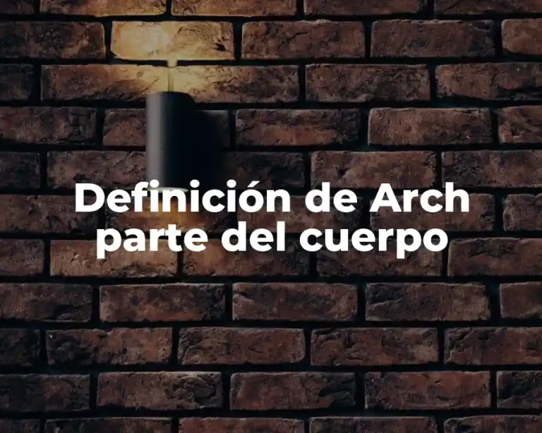 Definición de Arch parte del cuerpo