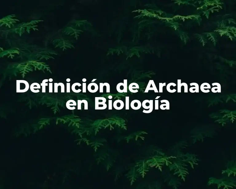 Definición de Archaea en Biología