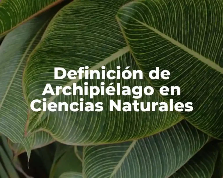 Definición de Archipiélago en Ciencias Naturales