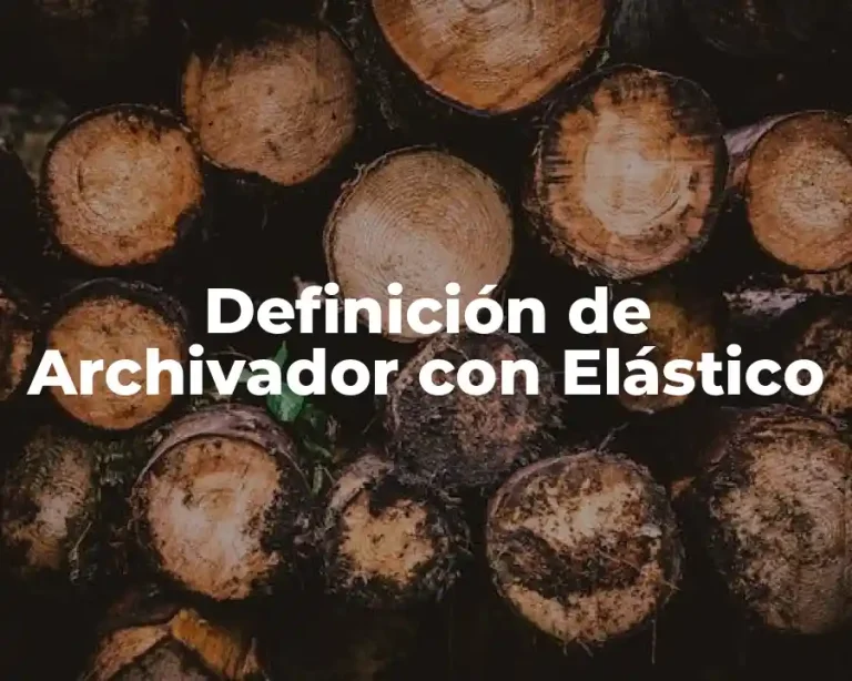Definición de Archivador con Elástico