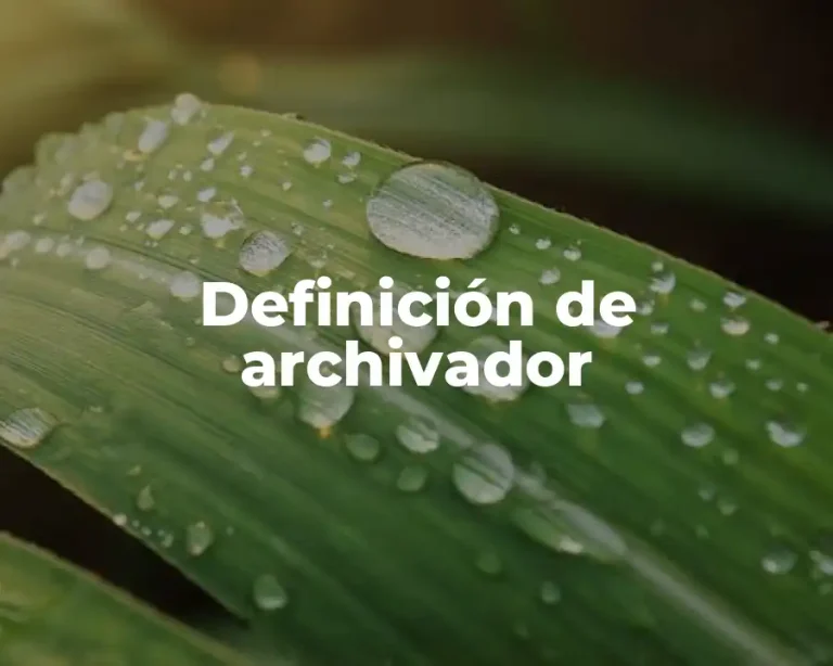 Definición de archivador
