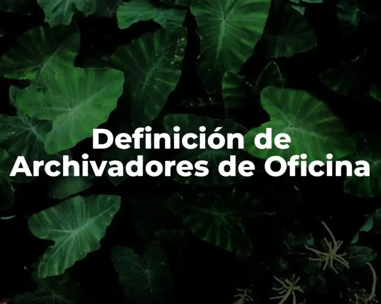Definición de Archivadores de Oficina