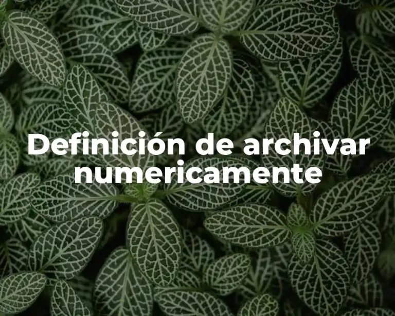 Definición de archivar numericamente