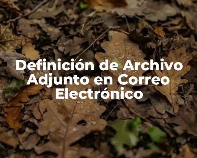 Definición de Archivo Adjunto en Correo Electrónico
