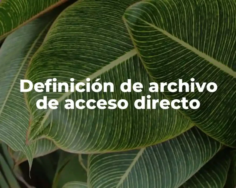 Definición de archivo de acceso directo