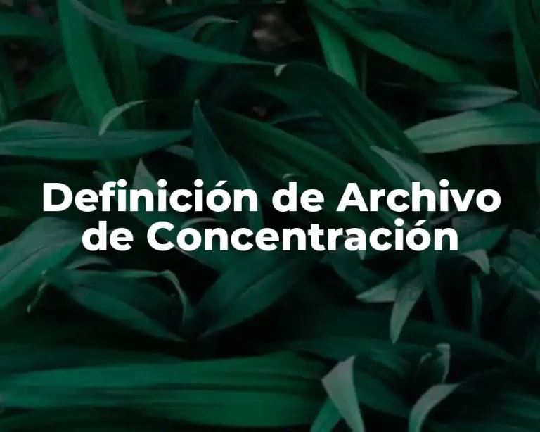 Definición de Archivo de Concentración