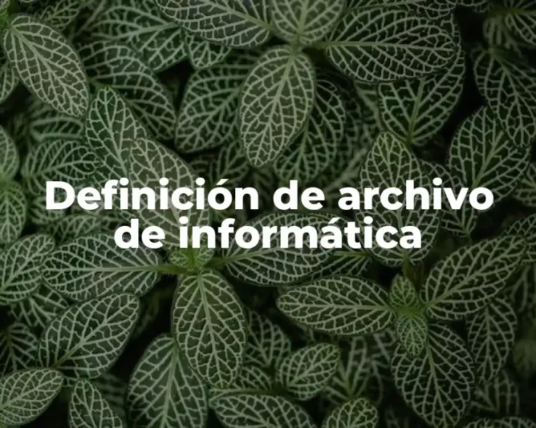 Definición de archivo de informática
