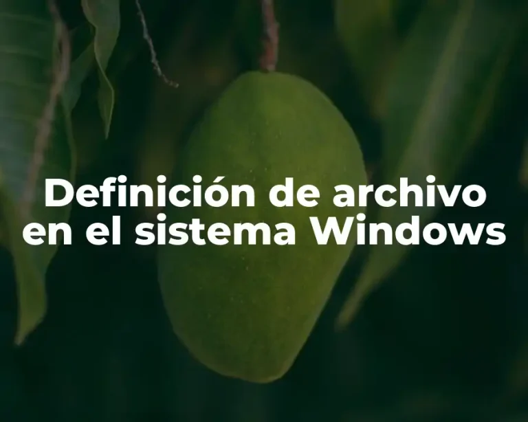Definición de archivo en el sistema Windows