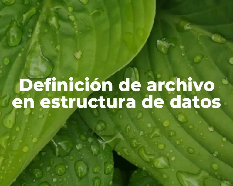 Definición de archivo en estructura de datos